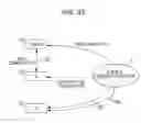 Fig. 33 - SERVER DEVICE AND TERMINAL DEVICE