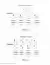 Fig. 11 - Data processing method executed by network apparatus, and related device