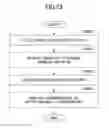 Fig. 30 - Display control method, information processing apparatus, and terminal