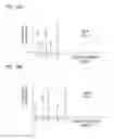 Fig. 22 - Data encryption/decryption using neurological fingerprints