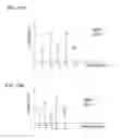 Fig. 23 - Data encryption/decryption using neurological fingerprints