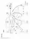 Fig. 24 - Data encryption/decryption using neurological fingerprints