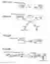 Fig. 25 - Data encryption/decryption using neurological fingerprints