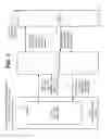 Fig. 04 - System and method for managing the delivery of targeted content