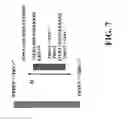 Fig. 08 - Methods for transforming a server side template into a client side template and devices thereof