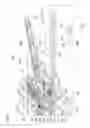 Fig. 04 - Image forming apparatus