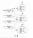 Fig. 06 - Security feature in graphic documents
