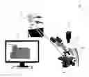 Fig. 01 - Method and device for generating a microscopy panoramic representation