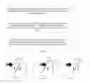 Fig. 02 - Image processing method and camera