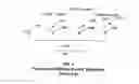 Fig. 02 - Interpolation of video compression frames