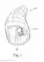 Fig. 02 - Hearing device with vibration sensitive transducer