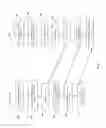 Fig. 05 - Automatic network tethering for authorized personal devices