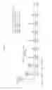 Fig. 09 - Plurality of beacon signals transmission method for providing a plurality of beacon services and a beacon service provision method using the beacon signals