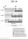 Fig. 19 - Method for transmitting information in a broadcast system