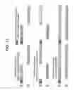 Fig. 22 - Method for transmitting information in a broadcast system