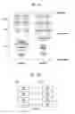 Fig. 09 - Method for processing received PDCP PDUs for D2D communication system and device therefor