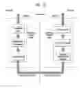 Fig. 11 - Method for processing received PDCP PDUs for D2D communication system and device therefor