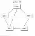 Fig. 12 - Wireless communication system and method