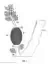Fig. 06 - Plant Limb Root Germination Method and Apparatus