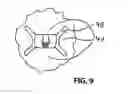 Fig. 05 - RETAINING DEVICE FOR  METERED DISPENSING OF A FEED ELEMENT TO DOMESTIC ANIMALS