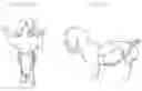 Fig. 01 - Dogpers
