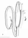 Fig. 02 - EXPANDABLE POUCH COMBINED WITH LEASH