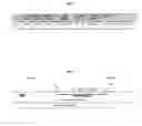 Fig. 08 - Humanized dipeptidyl-peptidase IV (DPP4) animals