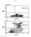 Fig. 08 - GENETICALLY MODIFIED NON-HUMAN MAMMALS HAVING MODIFIED LIVER CELLS AND/OR TISSUE AND METHODS OF MAKING SAME