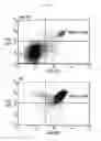 Fig. 09 - GENETICALLY MODIFIED NON-HUMAN MAMMALS HAVING MODIFIED LIVER CELLS AND/OR TISSUE AND METHODS OF MAKING SAME
