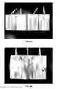 Fig. 06 - Antimicrobial composition for protecting wood