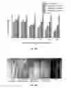 Fig. 07 - Antimicrobial composition for protecting wood