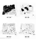 Fig. 12 - Biofilms, components and methods of use to reduce biofouling and contamination