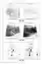 Fig. 37 - Biofilms, components and methods of use to reduce biofouling and contamination