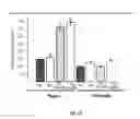 Fig. 19 - Complex of mutualistic microbes designed to increase plant productivity