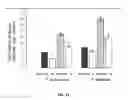 Fig. 22 - Complex of mutualistic microbes designed to increase plant productivity
