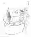 Fig. 03 - AUTOMATIC TABLE-TOP MACHINE FOR KNEADING AND EXTRUDING PASTA
