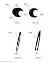 Fig. 02 - ARTIFICIAL EYELASHES HAVING A CURVED CROSS-SECTION