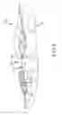 Fig. 04 - Adjustable sole support system