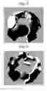Fig. 04 - Accessory/decoration that opens like a flower