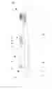 Fig. 01 - INSTRUCTIONAL ORAL CARE DEVICES AND METHODS