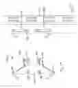 Fig. 15 - WALL MOUNTED STORAGE SYSTEM AND RELATED COMPONENTS AND METHODS