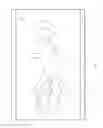Fig. 05 - CONTOURED DIAPER CHANGING PAD INCLUDING ILLUMINATION