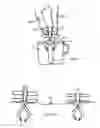 Fig. 08 - Apparatus and methods for dipping or dunking snacks into beverages