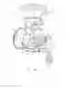 Fig. 08 - Rotary peristaltic dome pump