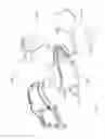 Fig. 22 - Surface cleaning apparatus