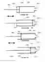 Fig. 12 - Method and apparatus for advancing a probe