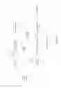 Fig. 02 - Automatically detecting eye type in retinal fundus images