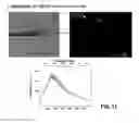 Fig. 13 - Method for simultaneously detecting fluorescence and raman signals for multiple fluorescence and raman signal targets, and medical imaging device for simultaneously detecting multiple targets using the method