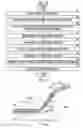 Fig. 04 - Photoacoustic image generation apparatus and insert