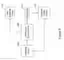 Fig. 07 - Multi-vector sensing in cardiac devices using a hybrid approach